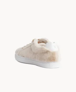 Aardman Low Top Sneaker