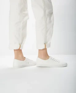 Carlton Canvas Sneaker