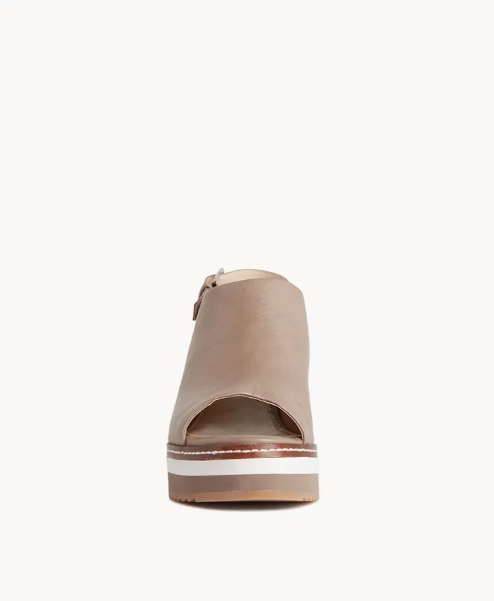 Cody wedge