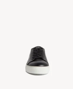 Darwin Sneaker