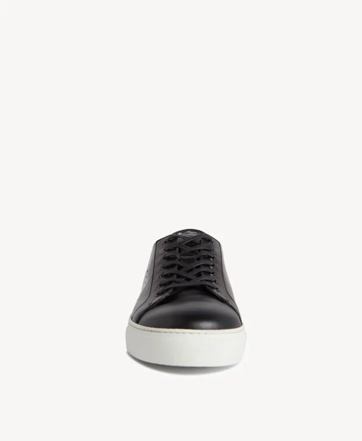 Darwin Sneaker