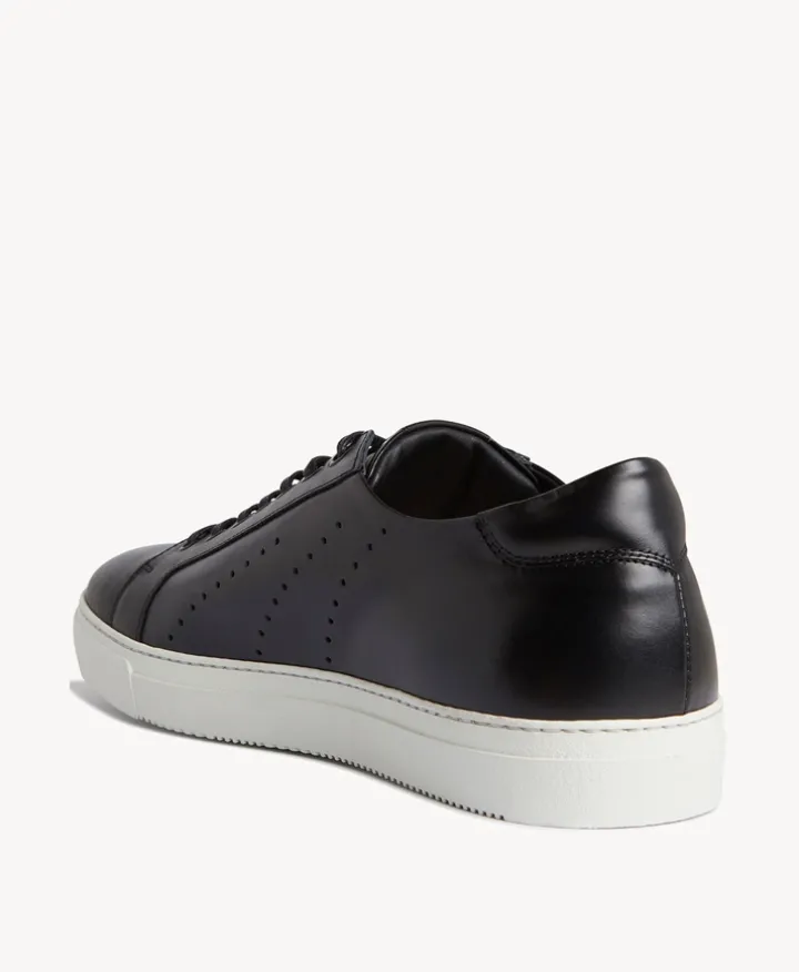 Darwin Sneaker