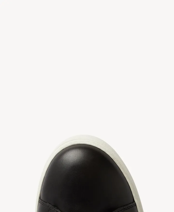 Darwin Sneaker