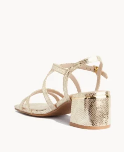 Doris Strappy Sandal