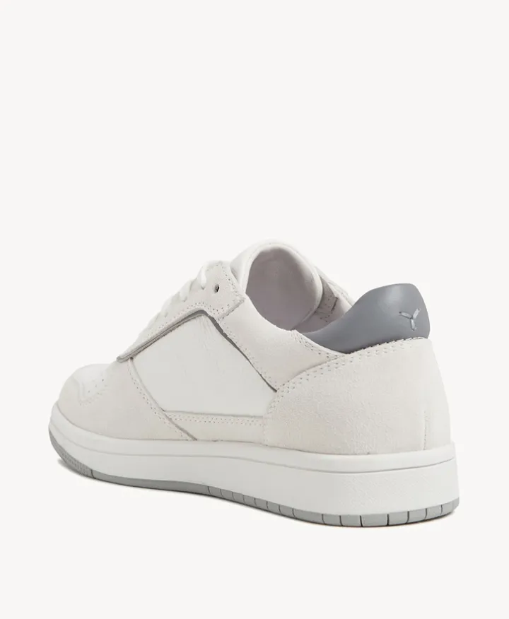 Ice Sneaker