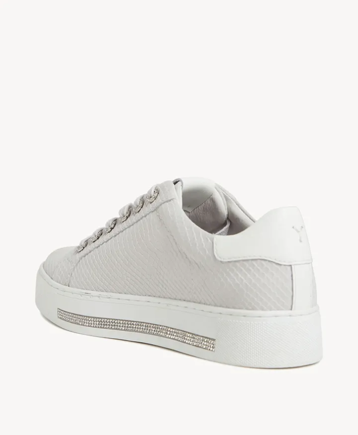 Icicle Sneaker