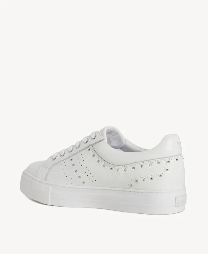 Pasha Sneaker
