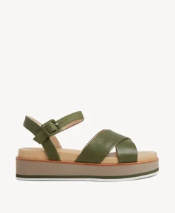 Perri Sandal