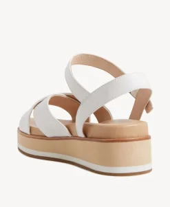 Perri Sandal