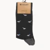 Ravi Sock
