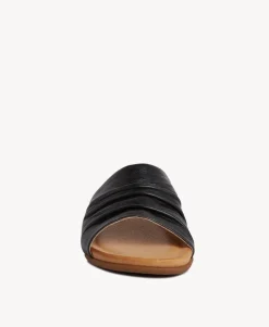 Shari Slide