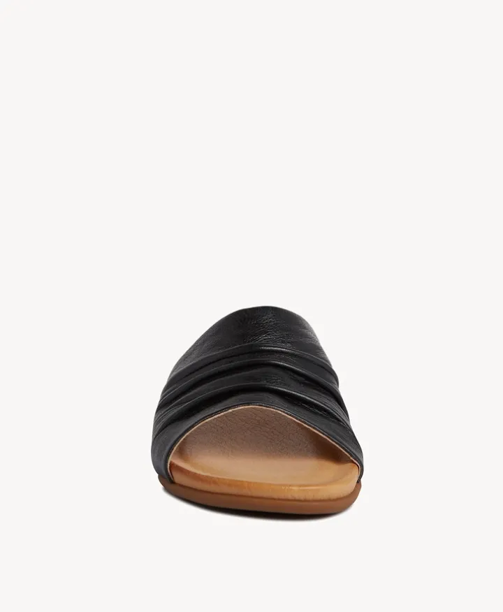 Shari Slide