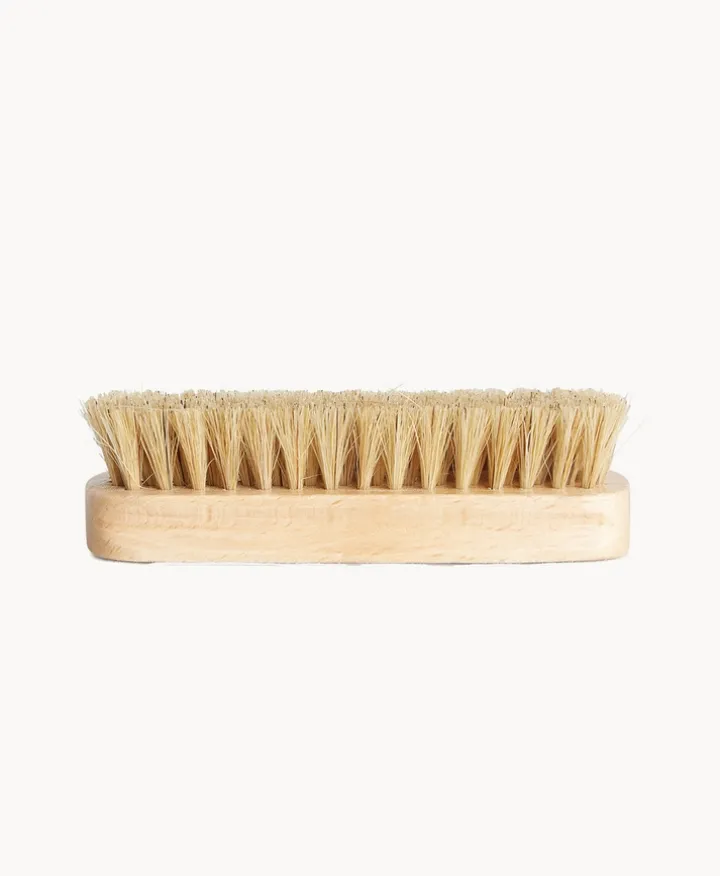 Shoe Brush