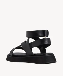 Teri Sandal